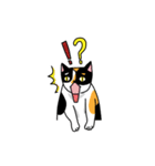 calico cat with american Shorthair（個別スタンプ：4）