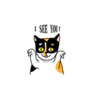 calico cat with american Shorthair（個別スタンプ：6）