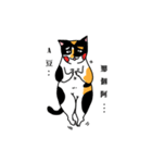 calico cat with american Shorthair（個別スタンプ：7）