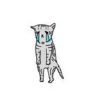 calico cat with american Shorthair（個別スタンプ：8）