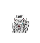 calico cat with american Shorthair（個別スタンプ：9）