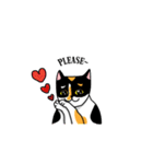 calico cat with american Shorthair（個別スタンプ：12）