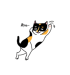 calico cat with american Shorthair（個別スタンプ：14）