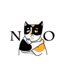calico cat with american Shorthair（個別スタンプ：16）