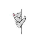 calico cat with american Shorthair（個別スタンプ：17）