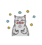 calico cat with american Shorthair（個別スタンプ：28）