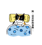 calico cat with american Shorthair（個別スタンプ：29）