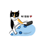 calico cat with american Shorthair（個別スタンプ：31）
