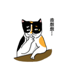 calico cat with american Shorthair（個別スタンプ：34）