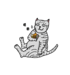 calico cat with american Shorthair（個別スタンプ：35）