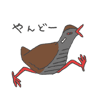 ヤンバルクイナ3（個別スタンプ：13）