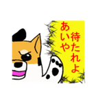 サムライヌ（個別スタンプ：1）