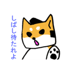 サムライヌ（個別スタンプ：12）