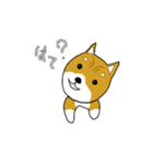 マメシバ（個別スタンプ：4）