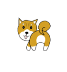 マメシバ（個別スタンプ：5）