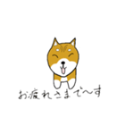 マメシバ（個別スタンプ：6）