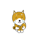 マメシバ（個別スタンプ：9）