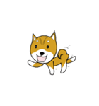 マメシバ（個別スタンプ：11）