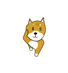 マメシバ（個別スタンプ：13）