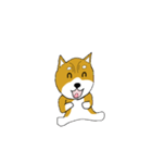 マメシバ（個別スタンプ：19）