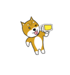マメシバ（個別スタンプ：20）