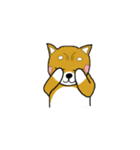 マメシバ（個別スタンプ：23）