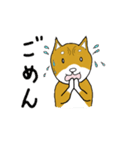 マメシバ（個別スタンプ：26）