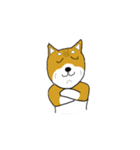 マメシバ（個別スタンプ：29）