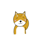 マメシバ（個別スタンプ：33）
