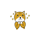 マメシバ（個別スタンプ：38）