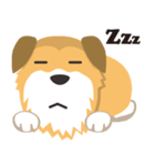 corgi with floppy ears（個別スタンプ：12）