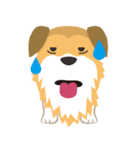 corgi with floppy ears（個別スタンプ：13）