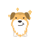 corgi with floppy ears（個別スタンプ：17）