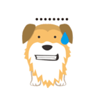 corgi with floppy ears（個別スタンプ：19）