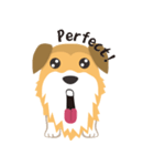 corgi with floppy ears（個別スタンプ：22）