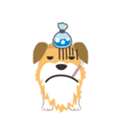 corgi with floppy ears（個別スタンプ：30）