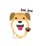 corgi with floppy ears（個別スタンプ：32）