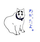 困り眉のネコ（個別スタンプ：11）