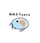 あいさつの微生物（個別スタンプ：13）
