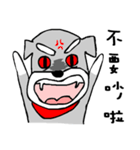 Schnauzer Niuniu（個別スタンプ：11）