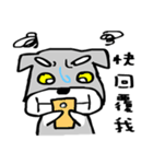 Schnauzer Niuniu（個別スタンプ：29）