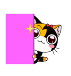 C-A-T : Calico Cat（個別スタンプ：3）