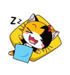 C-A-T : Calico Cat（個別スタンプ：12）