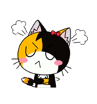 C-A-T : Calico Cat（個別スタンプ：17）