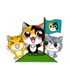 C-A-T : Calico Cat（個別スタンプ：24）