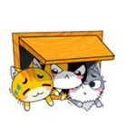 C-A-T : Calico Cat（個別スタンプ：37）