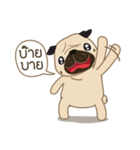 Kaoneaw The Pug（個別スタンプ：3）