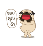 Kaoneaw The Pug（個別スタンプ：4）