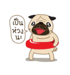 Kaoneaw The Pug（個別スタンプ：8）