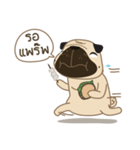 Kaoneaw The Pug（個別スタンプ：10）